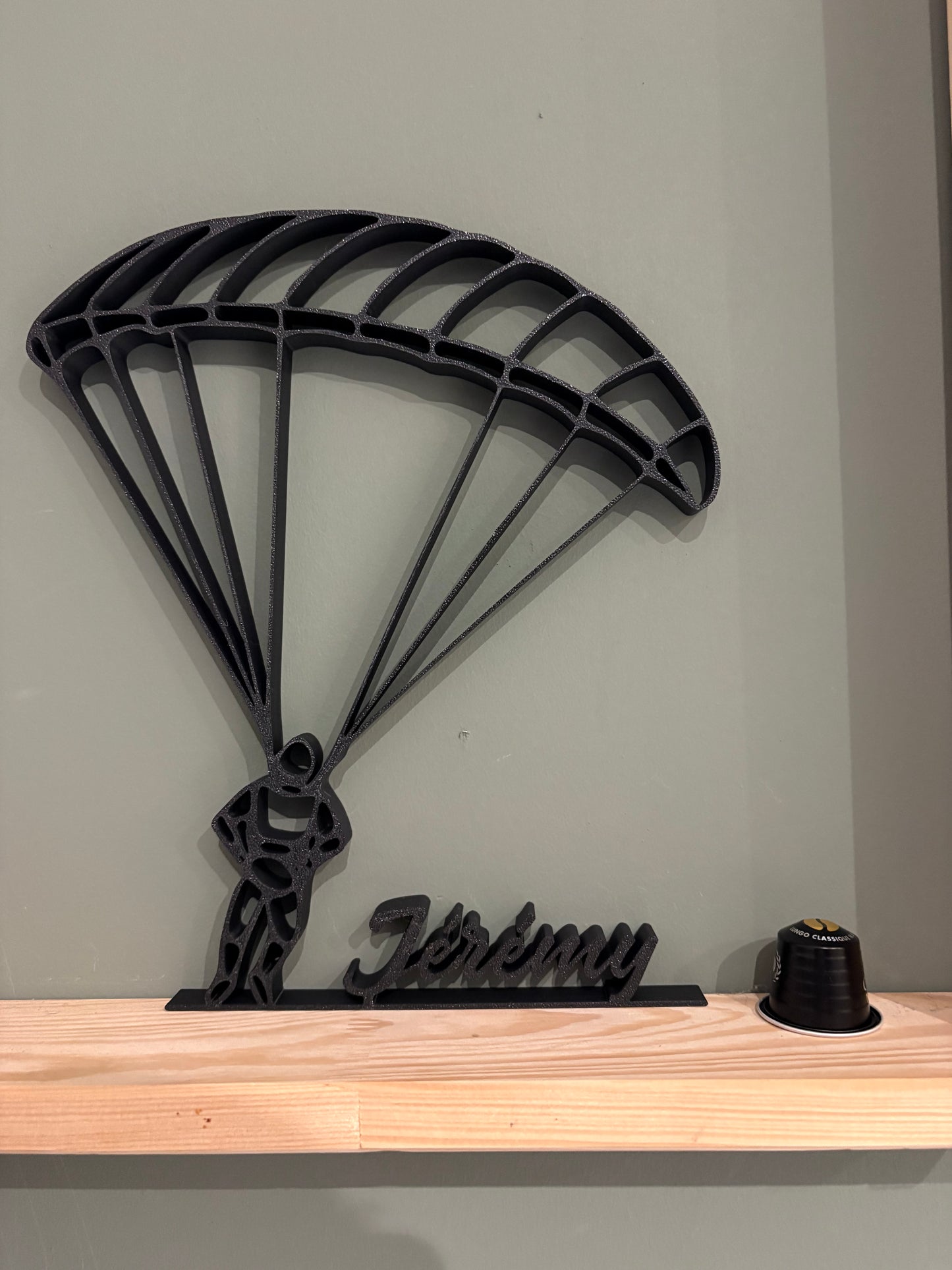 parapentiste 3D n°1